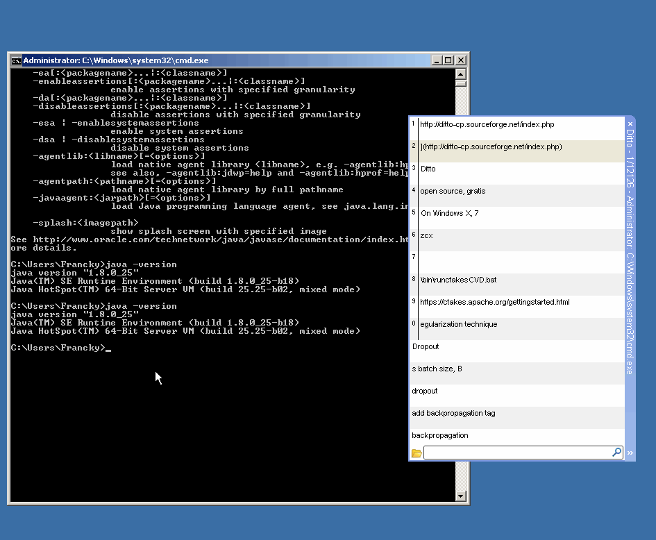 Source code and examples describing how to copy text to/from Windows clipboard from DOS applocations.