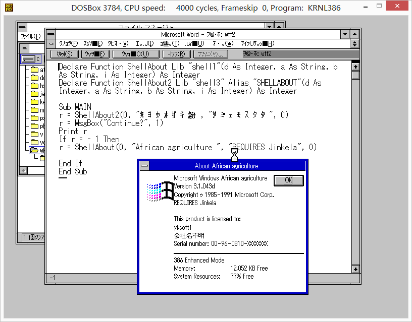 Windows 3.1 TrueType font -- African.