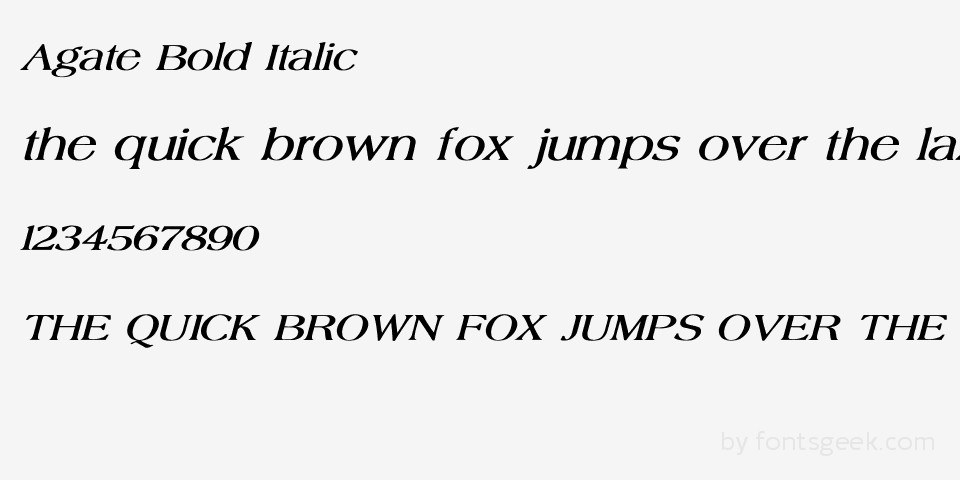 Agate Italic PostScript Type 1 font.
