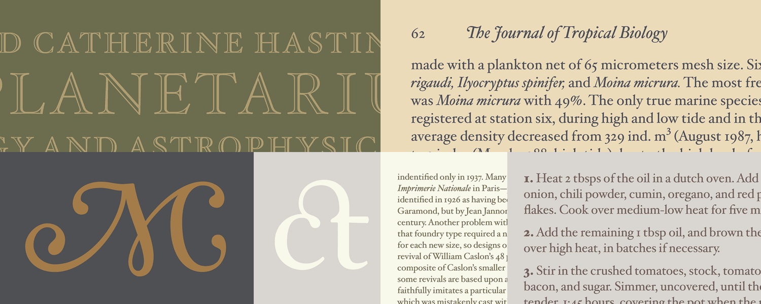 Small collection of True Type Fonts.