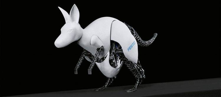 FLI of a robotic kangaroo.
