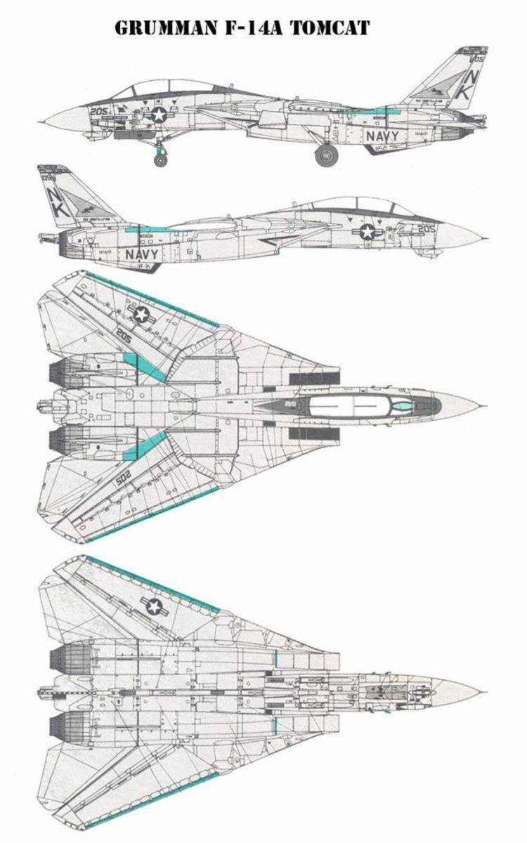 A graphics drawing of a F-14 jet fighter for AutoCad.