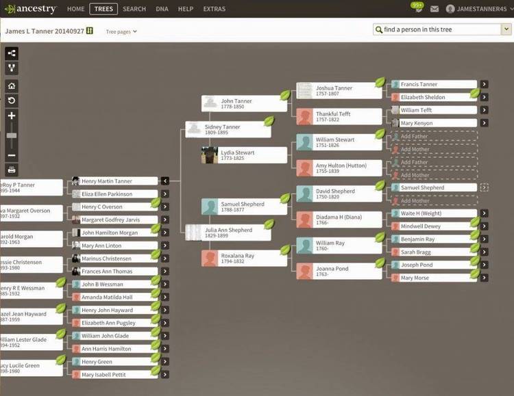 Yet another windows-based genealogy program. Nice interface, easy to use.