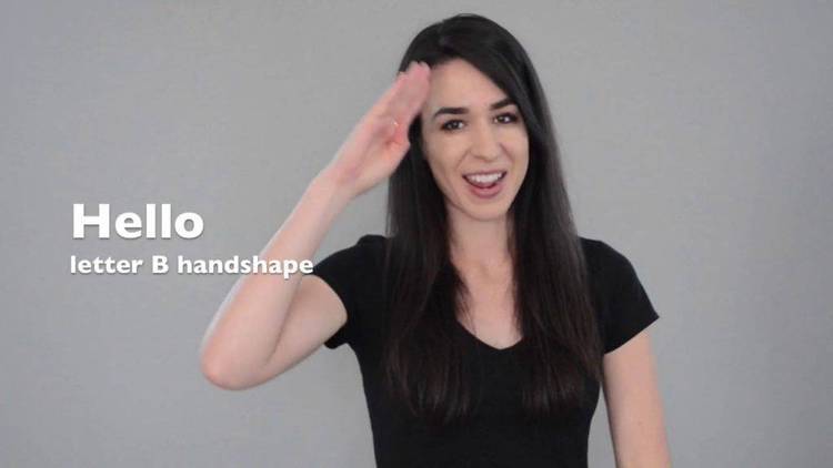 American Sign Language (ASL) tutorial. Written in BASIC, but clear.