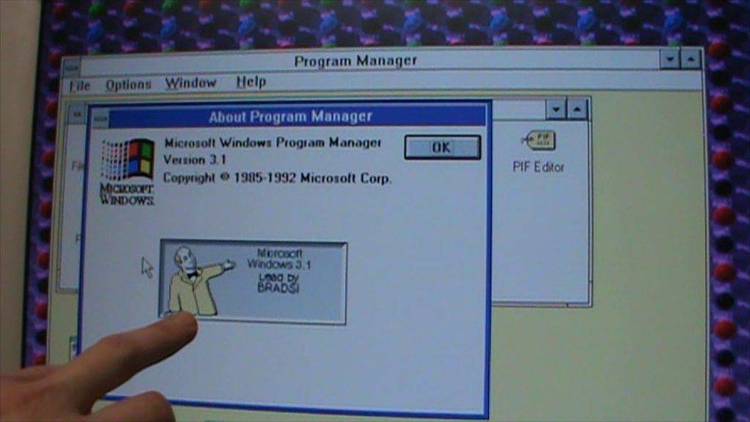 Windows 3.1 information text files.
