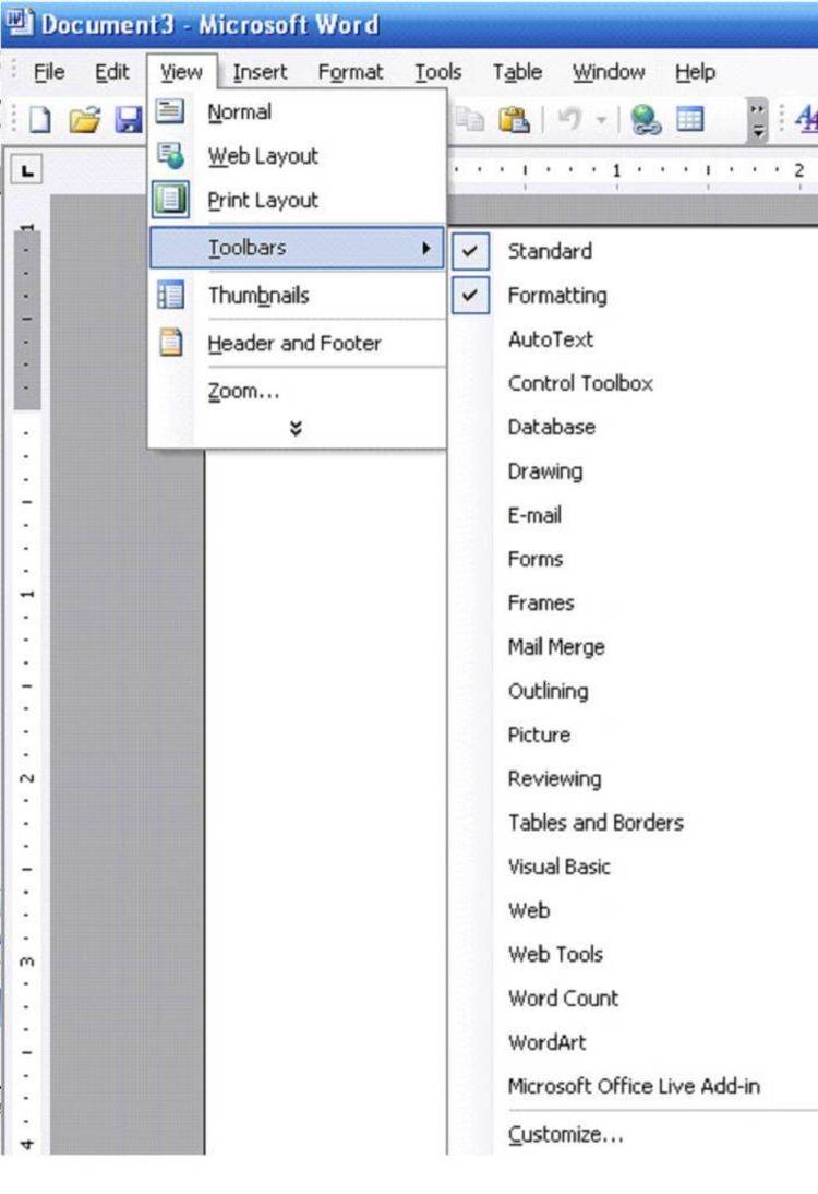 Notes from Microsoft on customizing Word for Windows 2.0.